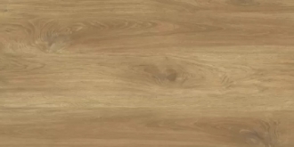 Ajanta Iroko
