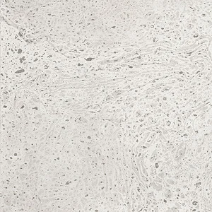 Керамогранит Grifine Ceramics Florence NS60171JB 60x60 полированный