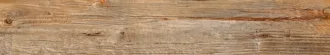 Hardwood Nature