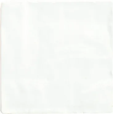 Плитка Harmony Riad White/10X10 26045 10x10 структурированная