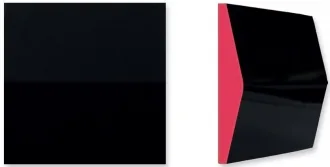 Central Black Fuchsia Fluor
