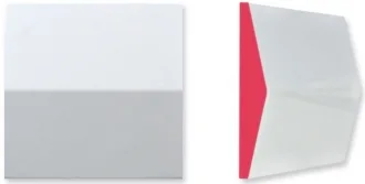 Central Snow Fuchsia Fluor