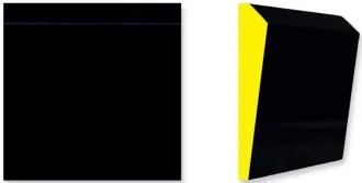 Side Black Yellow Fluor