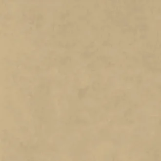 Tempo Mustard
