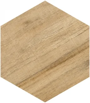 Hexagono Gamma Miel