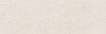 Плитка Ibero Botanical Natural Rect. 30x90 матовая