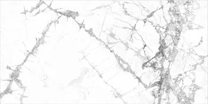 Керамогранит Идальго Люссо Санто Матовый 60x120