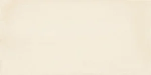 Плитка Imola GESSO 1020CA 10x20 матовая