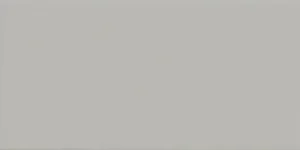 Плитка Imola ICONA 1020G 10x20 глянцевая
