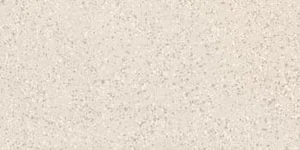 Керамогранит Imola Parade PRDE RB12W RM 60x120 матовый