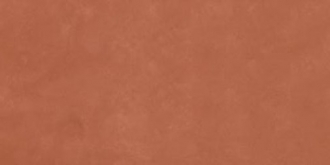 Retina RTN6 CARMI12 RM