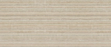 Керамогранит Imola Retina SIGNUM6 278RM 120x278 матовый