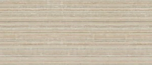 Керамогранит Imola Retina SIGNUM6 278RM 120x278 матовый