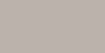 Керамогранит Inalco Silk Camel Natural 6mm 100x250 натуральный
