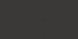 Керамогранит Inalco Silk Negro Natural 6mm 100x250 натуральный