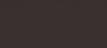 Керамогранит Inalco The New Blacks Castagna Natural 100x250 натуральный