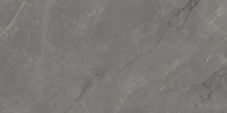 Astonia Grey Glossy Golden Line