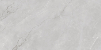 Astonia Silver Glossy Silver Line