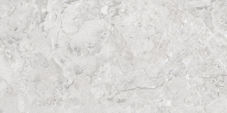Elegance Grey Glossy Silver Line