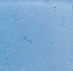 Мозаика JNJ Mosaic Iridium EA 64 20x20 глянцевая