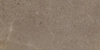 Contempora Bern Cer 610015000261