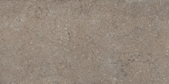 Discover Desert 610010002729