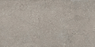 Discover Grey 610010002728