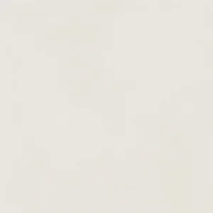 Керамогранит Italon Forum 610010004136 Слим Полар натуральный 80x80