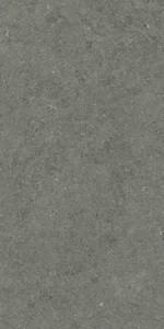 Керамогранит Italon Forum 610010004169 Стоун Айрон натуральный 60x120