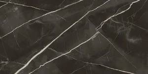 Керамогранит Italon Stellaris Absolut Black Lap 610015000682 60x120 лаппатированный