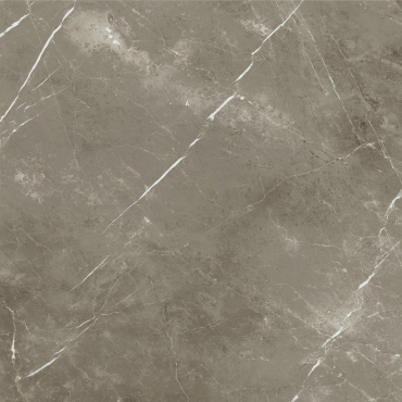 Керамогранит Italon Stellaris Tuscania Grey 600010002388 120x120 натуральный