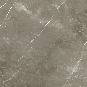 Керамогранит Italon Stellaris Tuscania Grey 600010002388 120x120 натуральный