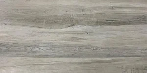 Керамогранит ITC Drift Wood Bianco 60x120 матовый