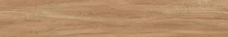 Maple Wood
