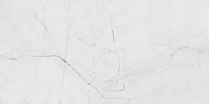 Керамогранит ITT Ceramic Marble Angel White Polished 60x120 полированный