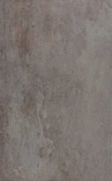 Плитка Argenta Jasna Gris 25x40 глянцевая