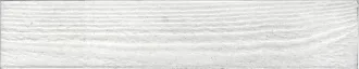 Evolution White 5