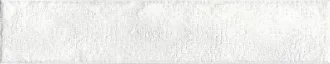 Evolution White 1