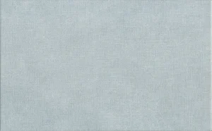 Плитка Kerama Marazzi Борромео Голубой 6403 25x40 матовая