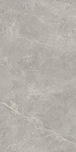 Керамогранит Kerama Marazzi Бриансон KM8016G0271R Серый светлый матовый обрезной 80x160