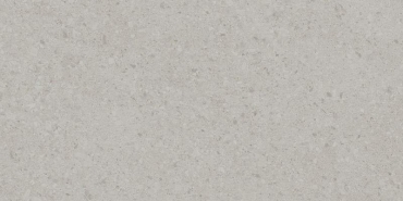 Керамогранит Kerama Marazzi Чеппо ди Гре серый светлый матовый обрезной DD591200R 119,5x238,5 матовый