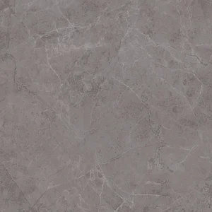 Керамогранит Kerama Marazzi Гран Пале серый SG457320R 50,2x50,2 матовый