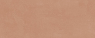 Плитка Kerama Marazzi Каннареджо оранжевый матовый 7254 20x50 матовая