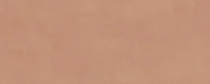Плитка Kerama Marazzi Каннареджо оранжевый матовый 7254 20x50 матовая