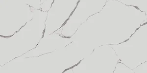 Керамогранит Kerama Marazzi Монте Тиберио белый матовый обрезной SG597700R 119,5x238,5 матовый