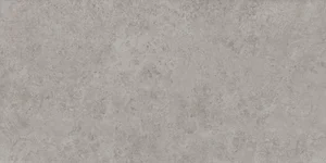 Керамогранит Kerama Marazzi Про Лаймстоун АТ серый натуральный обрезной DD590600R 119,5x238,5 матовый