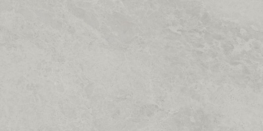 Плитка Kerama Marazzi Риальто серый светлый глянцевый обрезной 48009R 40x80 глянцевая