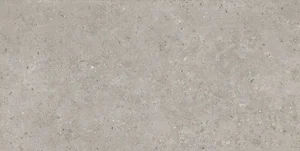 Керамогранит Kerama Marazzi Риккарди Серый Светлый Матовый Обрезной SG519920R 60x120 матовый