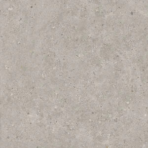 Керамогранит Kerama Marazzi Риккарди Серый Светлый Матовый Обрезной SG653720R 60x60 матовый