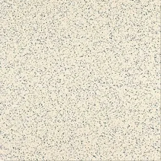 Имбирь SP900700N